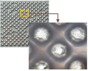 Top-down view of 5S molded WLP (CSPnl)