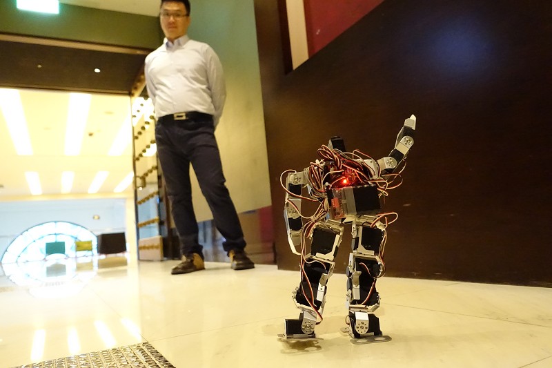 內採MCU的機器人，已可進行簡單的類人動作。