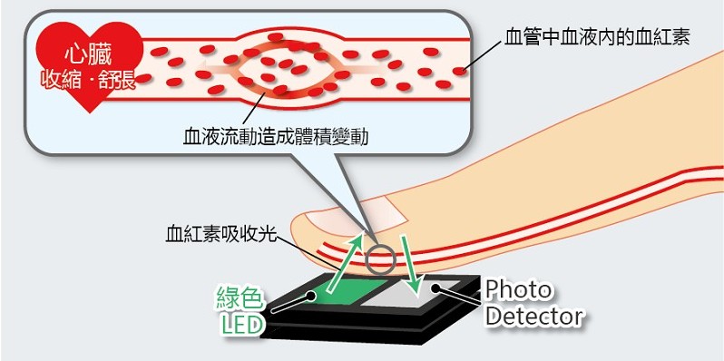 脈搏監測IC的構造