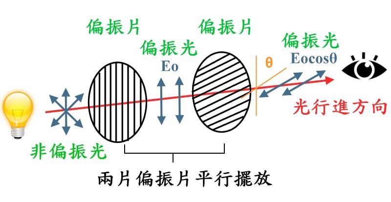 非偏振光通過兩片偏振片之示意圖