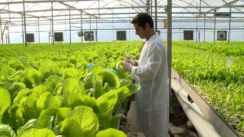 溫室自動化是由現場端控制器、遠端模組、感測器與環控設備構成。（source:Urbinati）