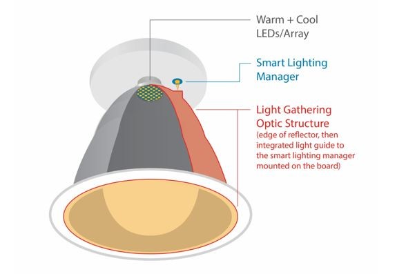 光導（light guide）將來自筒燈反射器邊緣的光線引導至LED板上的色彩感測器
