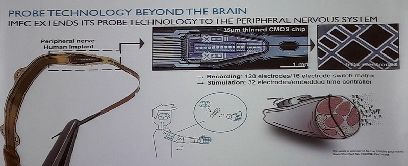 超越大腦的探針技術—imec將其探針技術擴展到周圍神經系統。（source：IMEC ; 2018/10）
