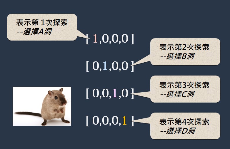 寫下了牠探索時的選擇