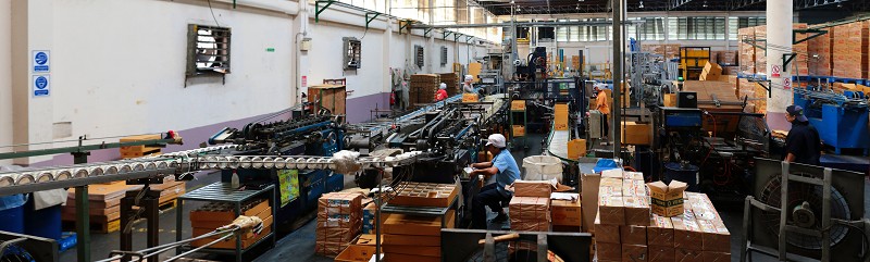 工業感測器是工廠自動化的關鍵組成元件。最常見者包括運動、環境和振動感測器等。