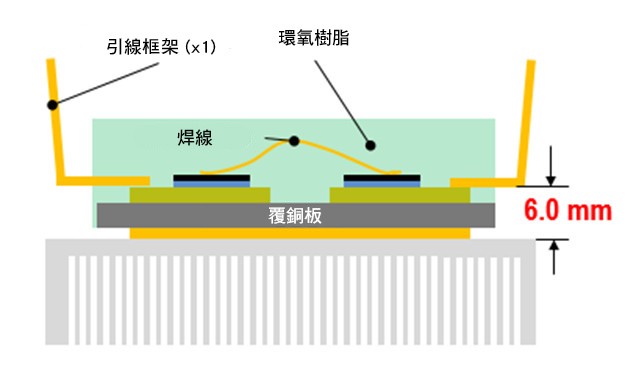 新的轉移成型PIM（TMPIM）模組的橫截面