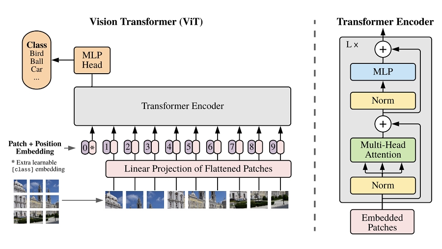 Vision Transformer的推論模型（source：paperswithcode.com）