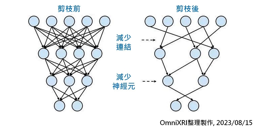 模型剪枝示意圖[3]。
