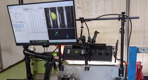 檸檬供應商與智慧檢測公司合作，採用The Imaging Source USB 工業相機，進行檸檬外觀檢測及選別。（source：海波視智慧）