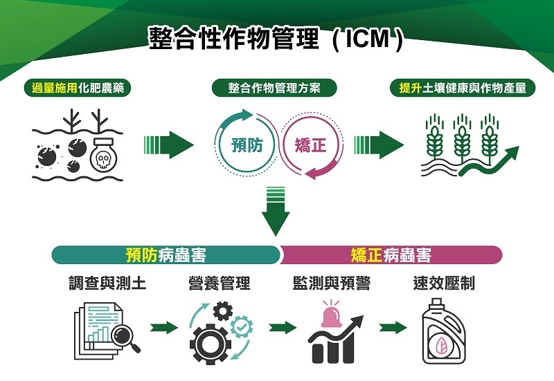 ICM管理模式通過運用大數據分析、人工智慧及物聯網技術，監控作物生長狀況及土壤健康，根據作物的不同生長階段進行精準管理。圖為ICM施作流程。
