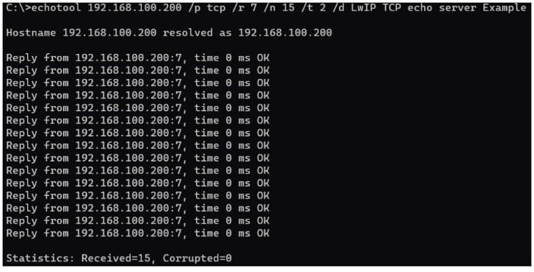 TCP Echo 伺服器輸出內容